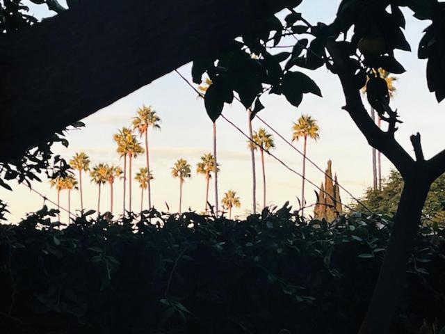 Costa Mesa Homestay - Private Rooms With 2 Shared Baths And Hosts Onsite Esterno foto